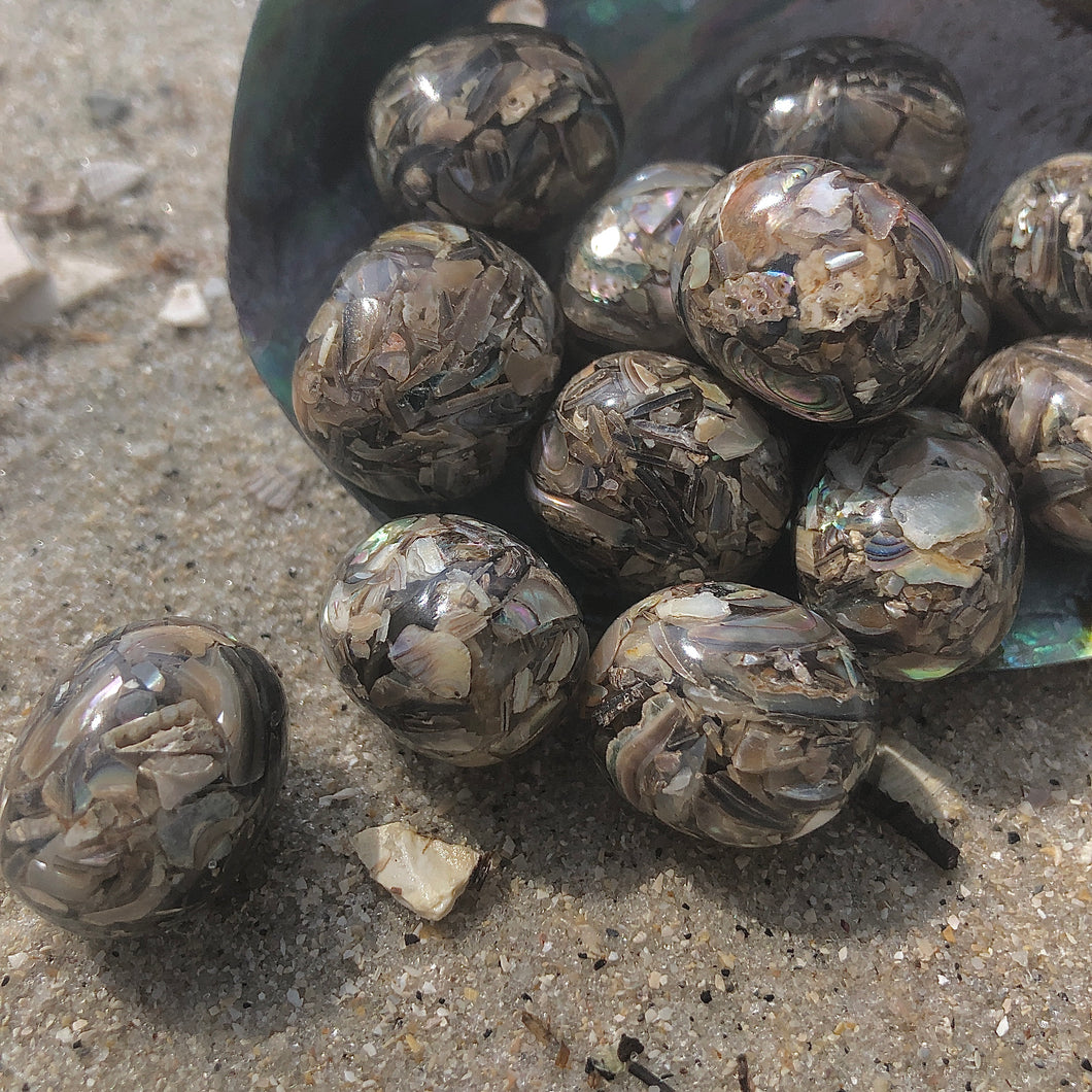 Tumbled Abalone Shells