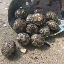 Load image into Gallery viewer, Tumbled Abalone Shells
